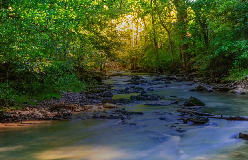 river flow life coaching nature